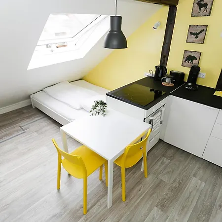 Zentral Gelegene Monteur-dg-wohnung Apartment Nuremberg
